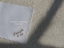 Personalized Scallop Handkerchief